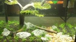 Hier noch ein Gesamtbild bei Nacht 