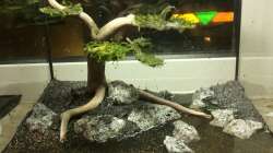 Aquarium Wandern in den Bergen