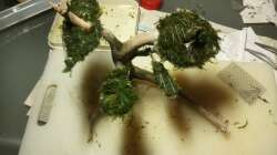 Wurzel mit Edelstahlkrone und Javamoos