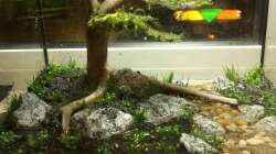 Nachdem alles gepflanzt wurde kommt nun langsam Wasser rein