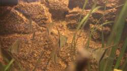 Endlich mal alle auf ein Bild bekommen:)