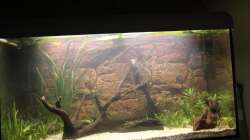 Ein bisschen umgeräumt