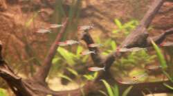 Hier ist der 2. Teil