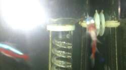 Technik im Aquarium Rio 125