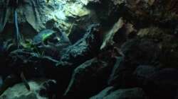 Aquarium stone bay area (closed due!!!)