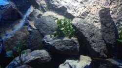 Dekoration im Aquarium stone bay area (closed due!!!)
