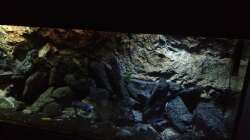 Aquarium stone bay area (closed due!!!)