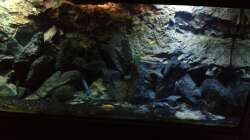 Aquarium stone bay area (closed due!!!)