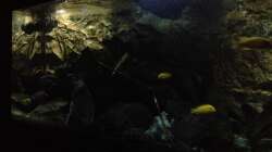 Aquarium stone bay area (closed due!!!)