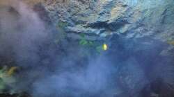 Das Salz in der Suppe 