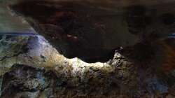 Schaut aus wie ein Raumschiff bei ´Independence Day´