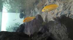 Fotos wirken heller als in Wirklichkeit 