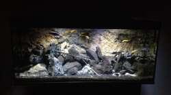 Aquarium stone bay area (closed due!!!)