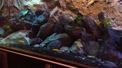 Aquarium stone bay area (closed due!!!)