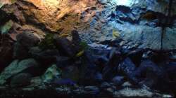 Aquarium stone bay area (closed due!!!)