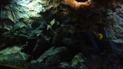 Aquarium stone bay area (closed due!!!)