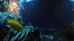 Von der Seite längs nach