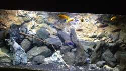 Aquarium stone bay area (closed due!!!)