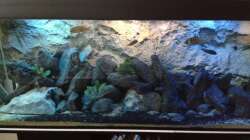 Am Tag mit Beleuchtung und Faschingsdeko:-)