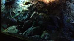 Aquarium stone bay area (closed due!!!)