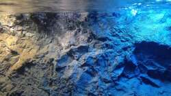 Dekoration im Aquarium stone bay area (closed due!!!)