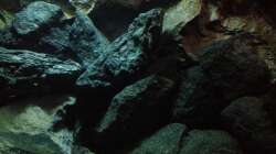 Dekoration im Aquarium stone bay area (closed due!!!)