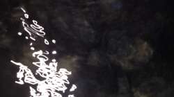 Aquarium stone bay area (closed due!!!)