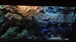 Aquarium stone bay area (closed due!!!)