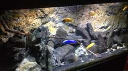 Aquarium stone bay area (closed due!!!)