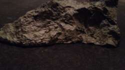 Dekoration im Aquarium stone bay area (closed due!!!)