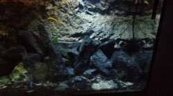 Aquarium stone bay area (closed due!!!)