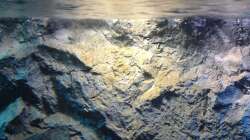 Dekoration im Aquarium stone bay area (closed due!!!)