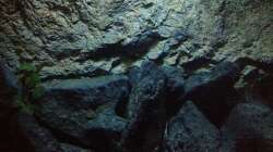 Dekoration im Aquarium stone bay area (closed due!!!)