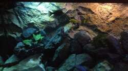 Aquarium stone bay area (closed due!!!)