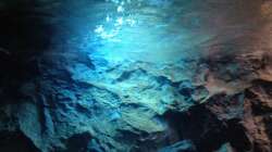 Aquarium stone bay area (closed due!!!)