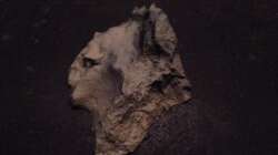 Dekoration im Aquarium stone bay area (closed due!!!)