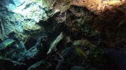 Aquarium stone bay area (closed due!!!)