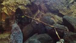 Aquarium stone bay area (closed due!!!)