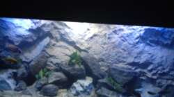 Aquarium stone bay area (closed due!!!)