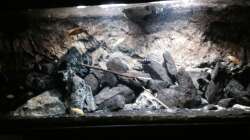 Pflanzen im Aquarium stone bay area (closed due!!!)