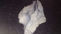 Dekoration im Aquarium stone bay area (closed due!!!)