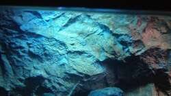 Dekoration im Aquarium stone bay area (closed due!!!)