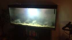 Noch trüb aber schon mit Besatz 