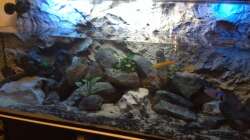 Beim wöchentlichen Wasserwechsel