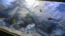 Noch leicht trüb aber schon besser