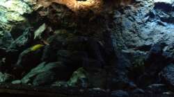 Aquarium stone bay area (closed due!!!)