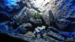 Aquarium stone bay area (closed due!!!)