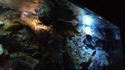 Aquarium stone bay area (closed due!!!)