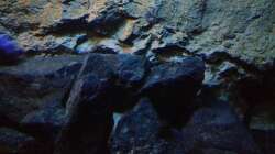 Dekoration im Aquarium stone bay area (closed due!!!)