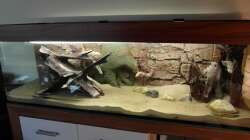 1. Befüllung mit Wasser